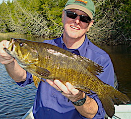 23 Trophy Smallmouth Bass in 1 Day Fishing at Fireside Lodge in Canada